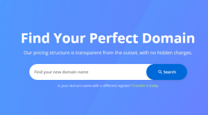how to find Your domain name
